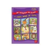 O carte mare de teste 6-7 ani de Gheorghe Ghetu