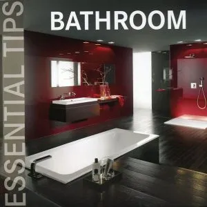 Bathroom. Essential tips
