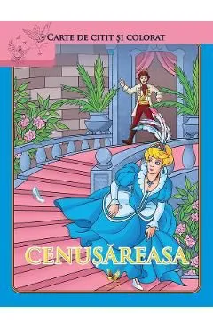 Cenusareasa de Autor Anonim