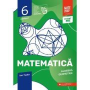 Matematica. Algebra, Geometrie. Caiet de lucru. 2024 Clasa a 6-a. Initiere. Partea I