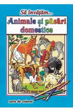 Sa invatam... Animale si pasari domestice. Carte de colorat