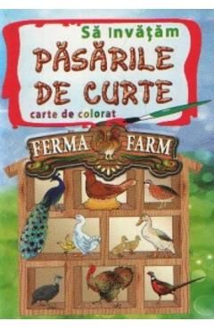 Sa Invatam Pasarile De Curte