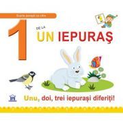 1 de la Un iepuras. Unu, doi, trei iepurasi diferiti! Cartonata