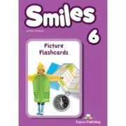 Curs limba engleza Smiles 6 Picture Flashcards de Jenny Dooley