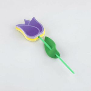 Flowering Notes Tulip yellowpurple