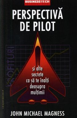 Perspectiva de pilot