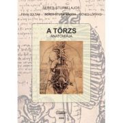Anatomia trunchiului, in limba maghiara