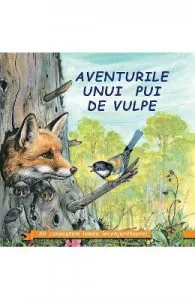 Aventurile unui pui de vulpe de Sa cunoastem lumea inconjuratoare!