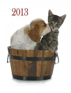 Calendar de perete 2013 - Animale