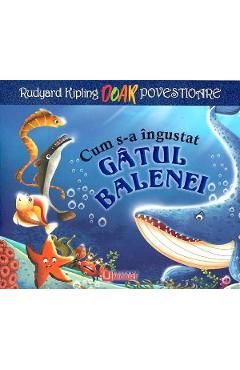 Cum s-a ingustat gatul balenei