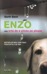 Enzo sau Arta de a pilota pe ploaie de Garth Stein