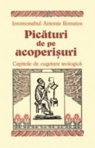 Picaturi de pe acoperisuri