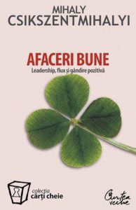 Afaceri bune. Leadership, flux si gandire pozitiva