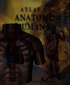 Atlas de anatomie umana