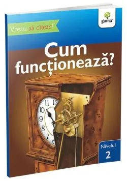 Cum funcționează? de Denise Ryan