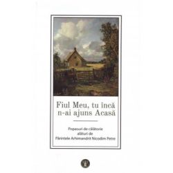 Fiul Meu, tu inca n-ai ajuns Acasa
