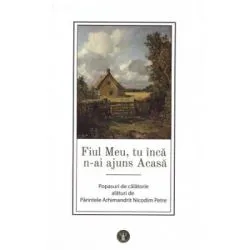 Fiul Meu, tu inca n-ai ajuns Acasa de Nicodim Petre