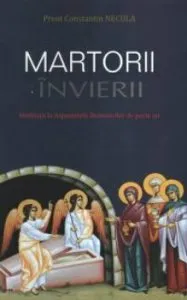Risipitorii. Meditatii la evangheliile duminicilor de peste an de Pr. Necula Constantin