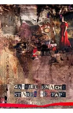 Starea de fapt de Gabriel Enache