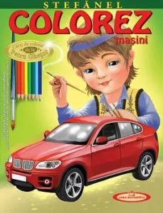 Stefanel. Colorez masini de Petru Ghetoi