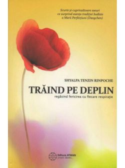Traind Pe Deplin