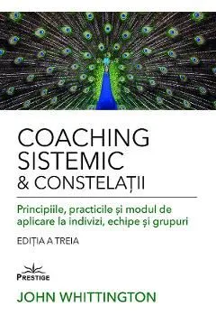 Coaching Sistemic si Constelatii de John Whittington