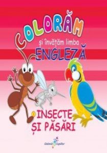 Coloram si invatam limba engleza, Vol. 3: Insecte si pasari
