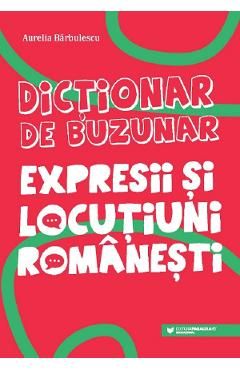 Dictionar de buzunar. Expresii si locutiuni romanesti