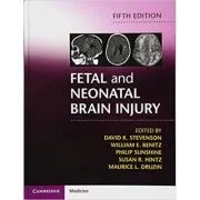 Fetal and Neonatal Brain Injury de David K. Stevenson