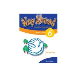 Way Ahead 6, Grammar Practice Book, Caiet de gramatica engleza pentru clasa 8-a