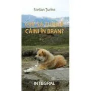 Cin'n sa tunda cainii in Bran de Stelian Turlea
