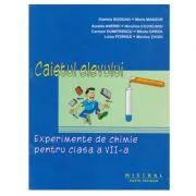 Experimente de chimie pentru clasa a 7-a Caietul elevului de Dan Bogdan