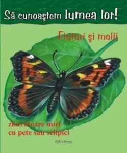 Fluturi si molii