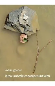 Iarna umbrele copacilor sunt verzi de Ioana Geacar
