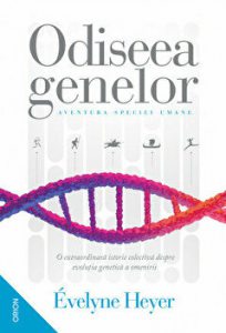Montessori. Civilizatii si imperii. Carti de joc educative pentru 6-12 ani