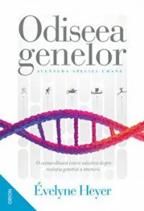 Montessori. Civilizatii si imperii. Carti de joc educative pentru 6-12 ani