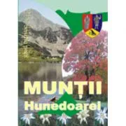 Muntii Hunedoarei de Nicu Jianu