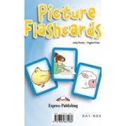 Set Sail 1, Picture FLASHCARDS, Curs limba engleza de Jenny Dooley