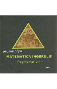 Matematica ingerului