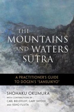 The Mountains and Waters Sutra: A Practitioner