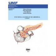 Functional anatomy of abdominal cavity