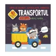 Transportul intr-un oras mare. 40 de autocolante de Gheorghe Ghetu