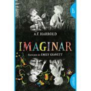 Imaginar. Paperback