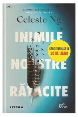 Inimile noastre rătăcite