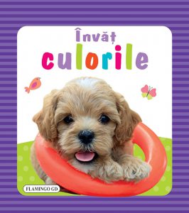 Invat culorile