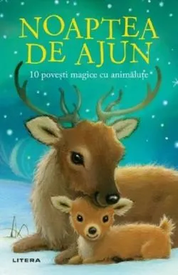 Noaptea de ajun. 10 povesti magice cu animalute de Rachel Delahaye