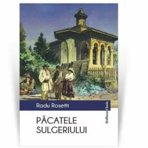 Pacatele sulgeriului de Radu Rosetti