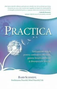 Practica de Barb Schmidt
