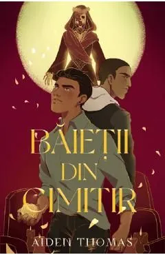 Baietii din cimitir de Aiden Thomas