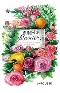 Bunele maniere (Larousse) de Sabine Denuelle